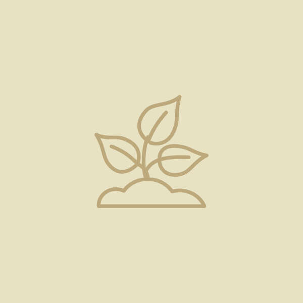 icon sortiment pflanze